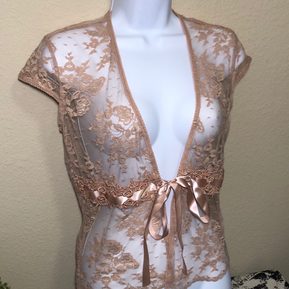 CDIV Petite pink Sheer lace top - Picture 2 of 8